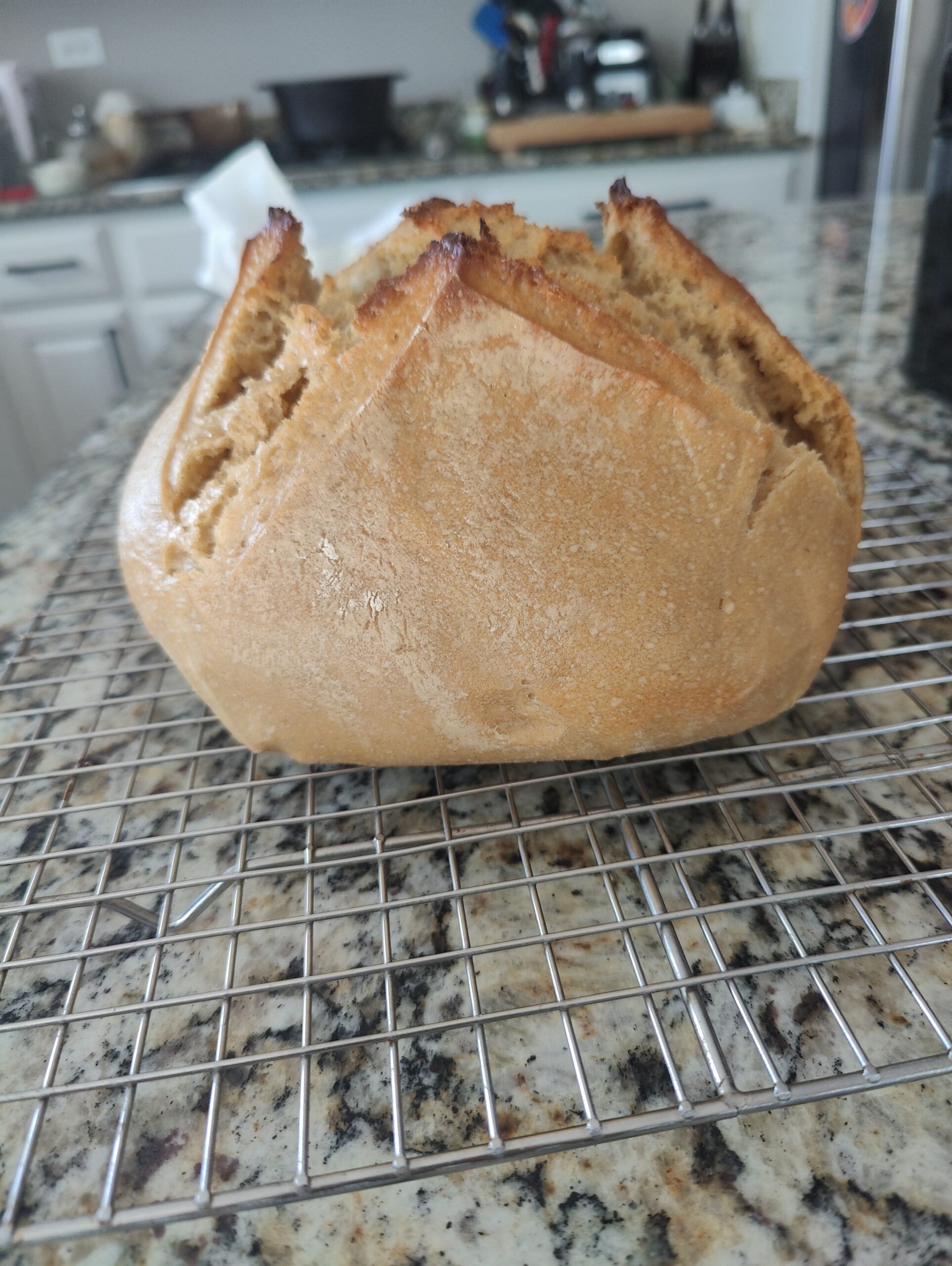 Einkorn Wheat vs. Regular Wheat:Why It’s the Only Flour in Our Kitchen